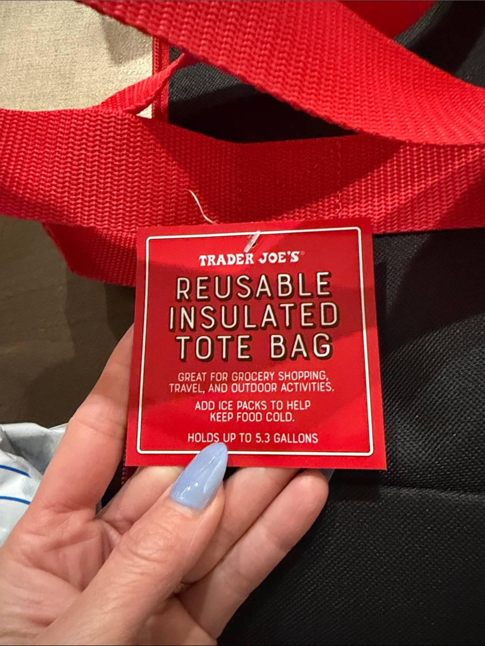 Trader Joe's Insulated Tote Bag - Black with Red - Picture 3 of 3